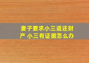 妻子要求小三返还财产 小三有证据怎么办